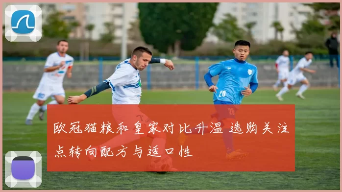 欧冠猫粮和皇家对比升温 选购关注点转向配方与适口性