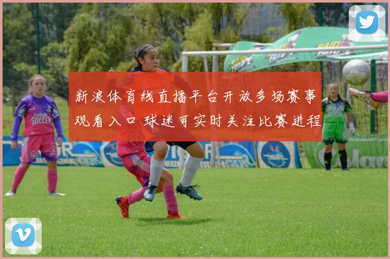 新浪体育线直播平台开放多场赛事观看入口 球迷可实时关注比赛进程与赛后数据