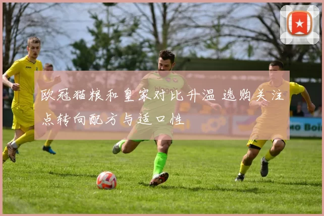 欧冠猫粮和皇家对比升温 选购关注点转向配方与适口性